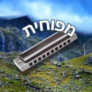 מיכל לוי